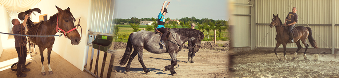 LOVAS FOGLALKOZTATÁSOK, BÉRTARTÁS