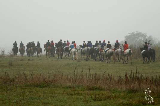 II. Vadászlovaglás és Lovasbál